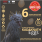 Ultra-Nutritious Kadaknath Eggs with 18 Essential Amino Acids–100% Organic- 30% Less Cholesterol