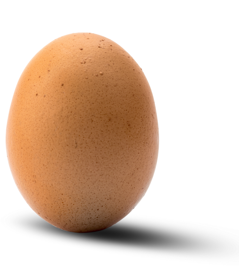 Egg
