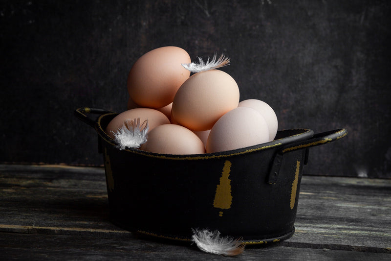Ultra-Nutritious Kadaknath Eggs With 18 Essential Amino Acids-100% Organic- 30% Less Cholesterol